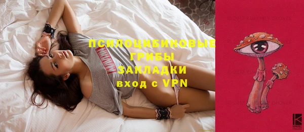 винт Алзамай