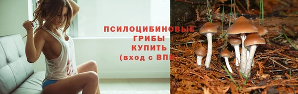 каннабис Алексеевка