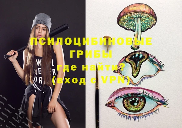 винт Алзамай
