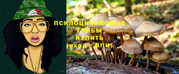 каннабис Алексеевка